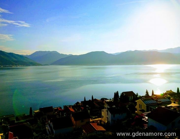 jedinstven pogled
